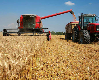 Agriculture Industry